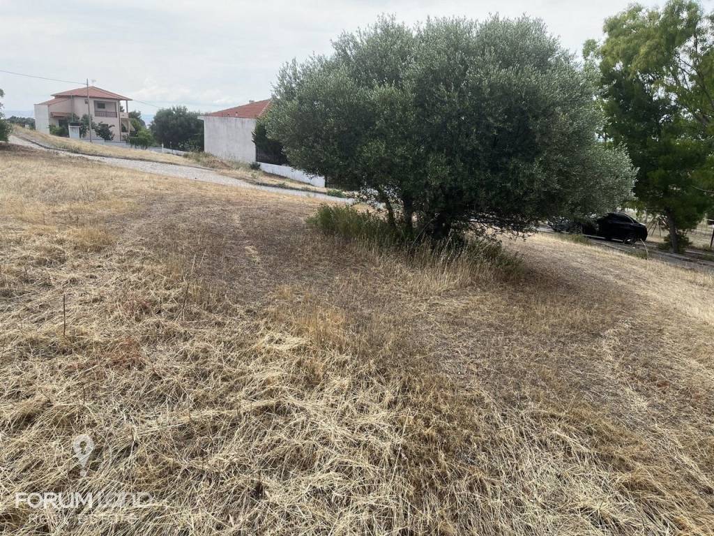 Forumland Real Estate, Οικόπεδο 480τ.μ.