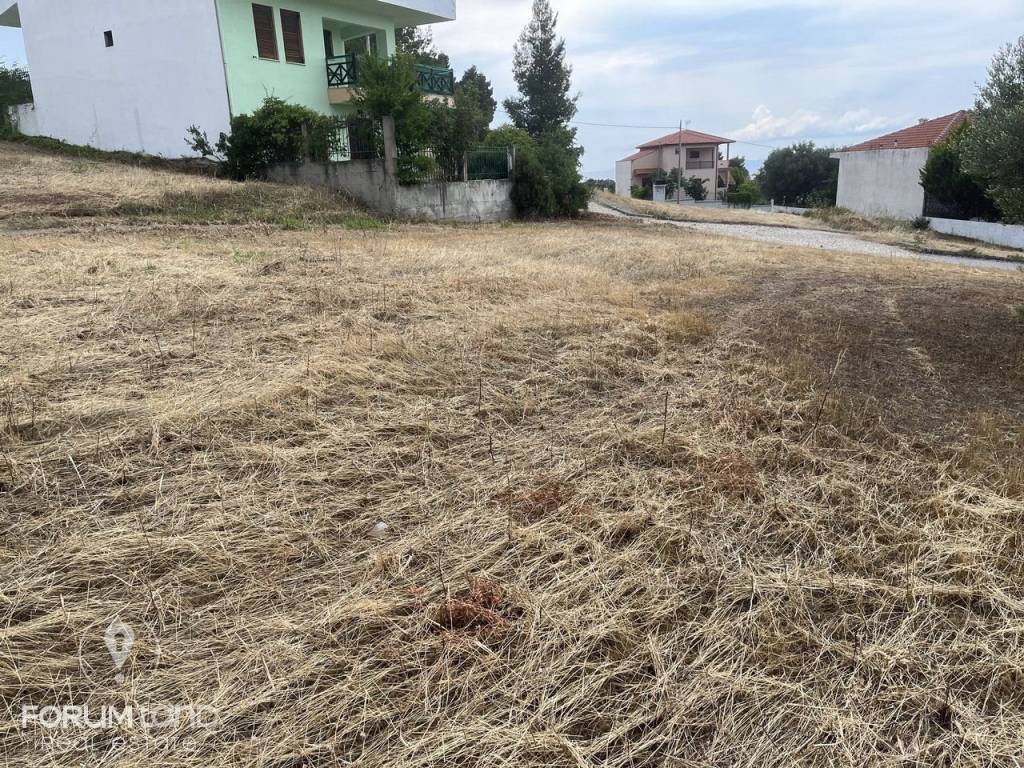 Forumland Real Estate, Οικόπεδο 480τ.μ.