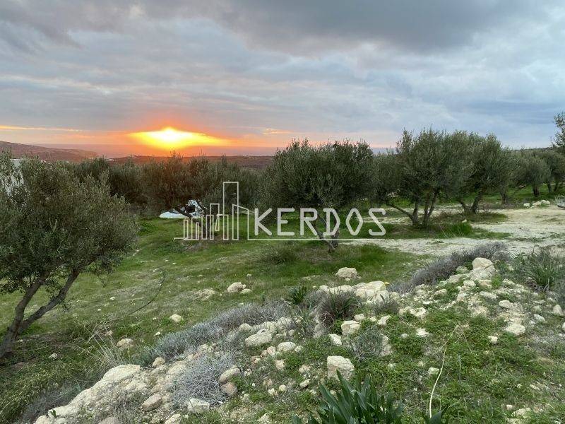 Ύπαρξη ανθρώπου