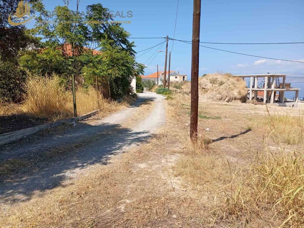 ta oikopeda 2 kai 3 dierchontai apo ayto ton dromo