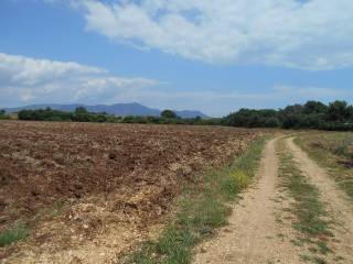 ΔΥΤΙΚΗ ΟΨΗ ΑΓΡΟΤΕΜΑΧΙΟΥ