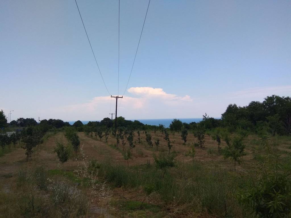 Θεά μέσα απο το οικόπεδο