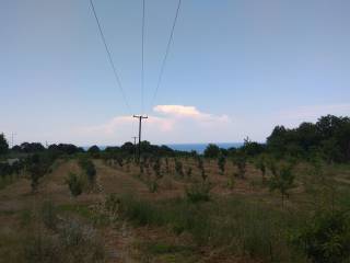 Θεά μέσα απο το οικόπεδο