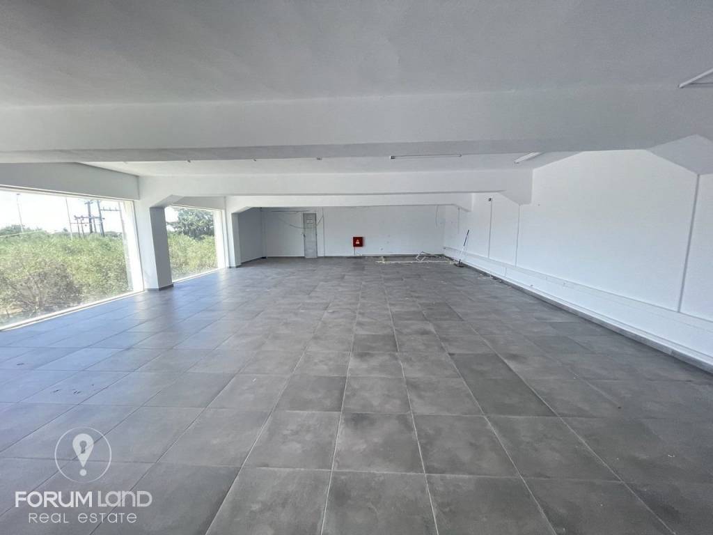 Forumland Real Estate, Ισόγειος χώρος