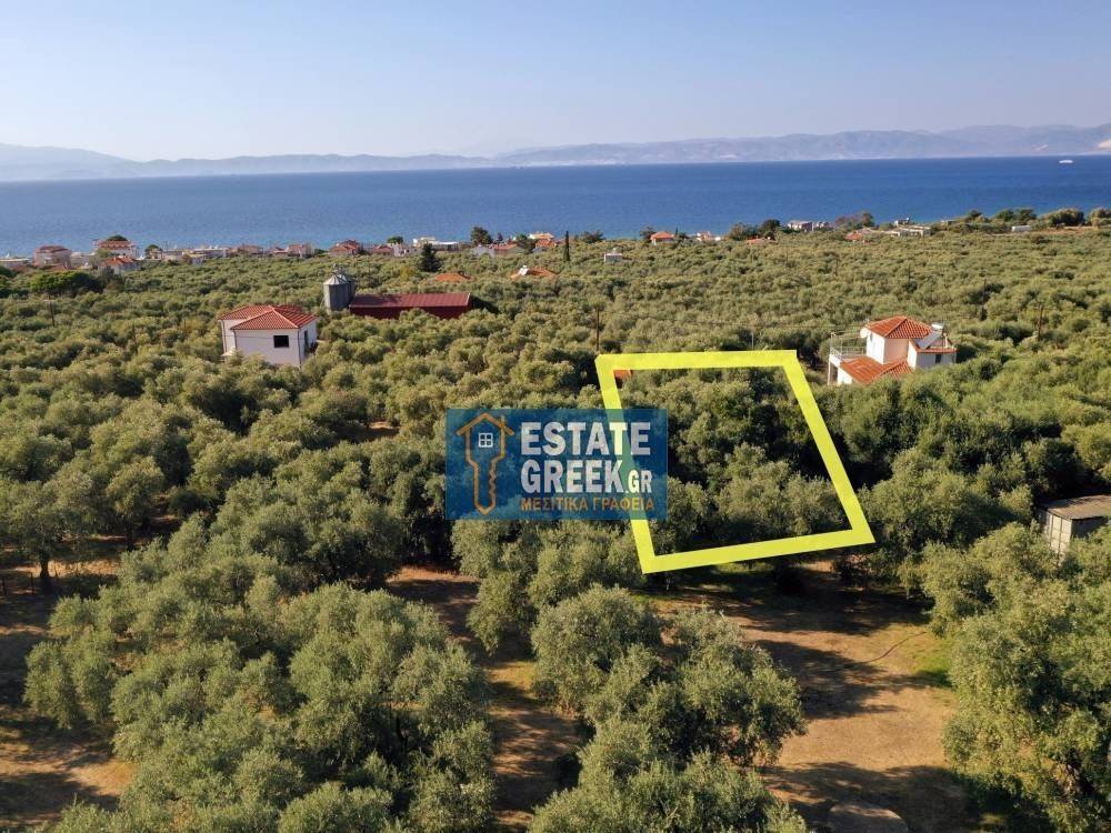 ★ Ιδανικό για Κατοικία ★ Μπορεί να κτίσει 655 τ.μ. ★