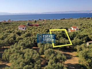 ★ Ιδανικό για Κατοικία ★ Μπορεί να κτίσει 655 τ.μ. ★