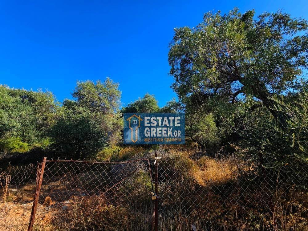 ★ Ιδανικό για Κατοικία ★ Μπορεί να κτίσει 655 τ.μ. ★