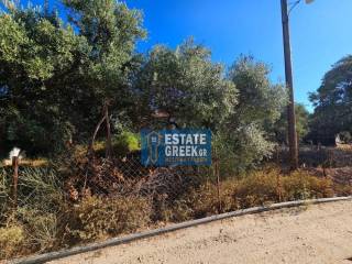 ★ Ιδανικό για Κατοικία ★ Μπορεί να κτίσει 655 τ.μ. ★