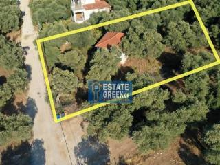 ★ Ιδανικό για Κατοικία ★ Μπορεί να κτίσει 655 τ.μ. ★