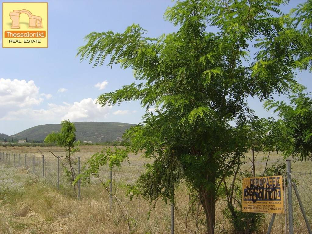 Σουρωτή, Αγροτεμάχιο, 4.920 τ.μ.