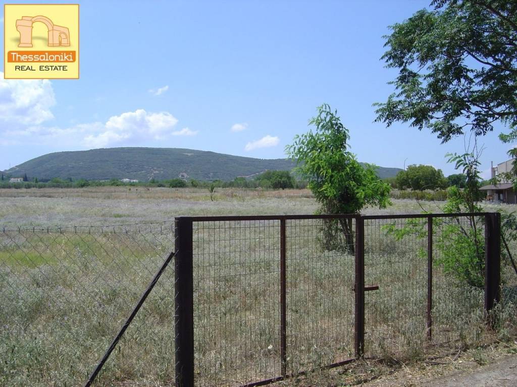 Σουρωτή, Αγροτεμάχιο, 4.920 τ.μ.