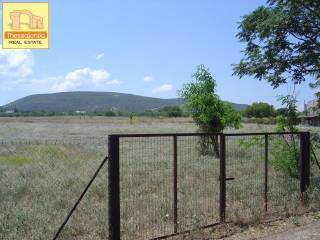 Σουρωτή, Αγροτεμάχιο, 4.920 τ.μ.