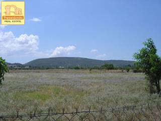 Σουρωτή, Αγροτεμάχιο, 4.920 τ.μ.