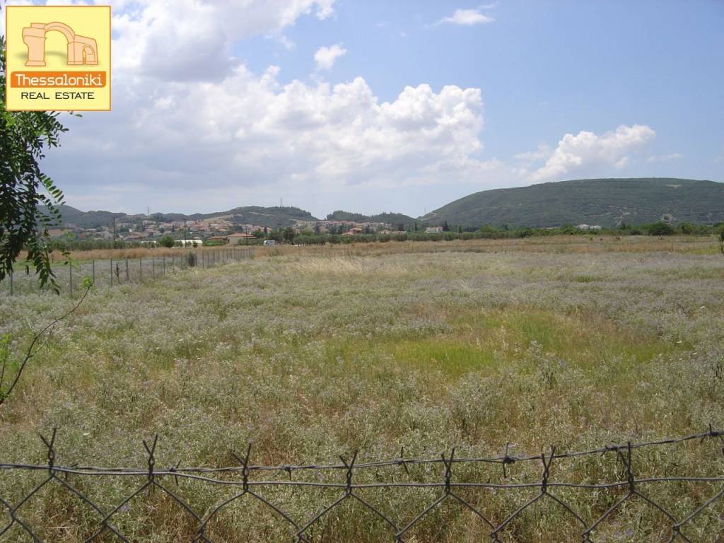 Σουρωτή, Αγροτεμάχιο, 4.920 τ.μ.