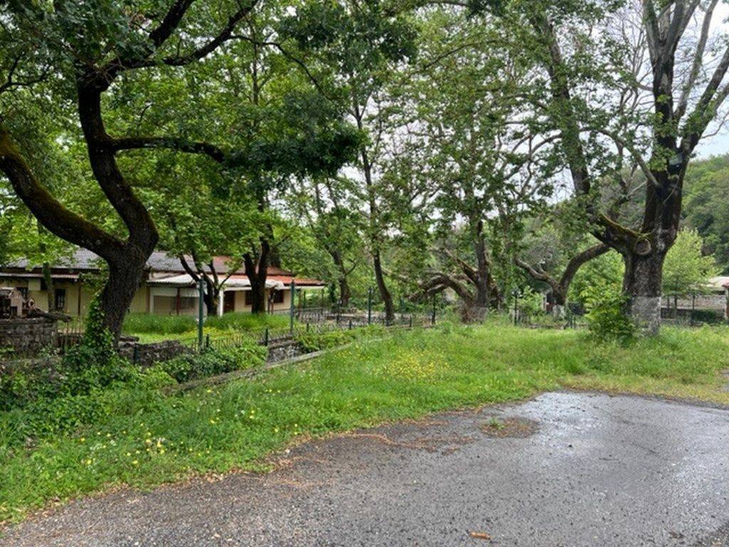 Εξωτερικοι χώροι