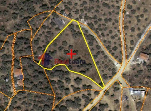 Εξωτερικοι χώροι