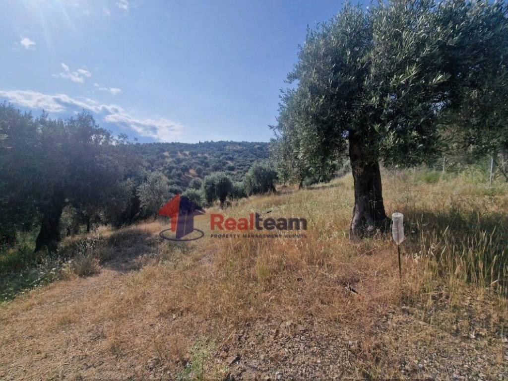 Εξωτερικοι χώροι