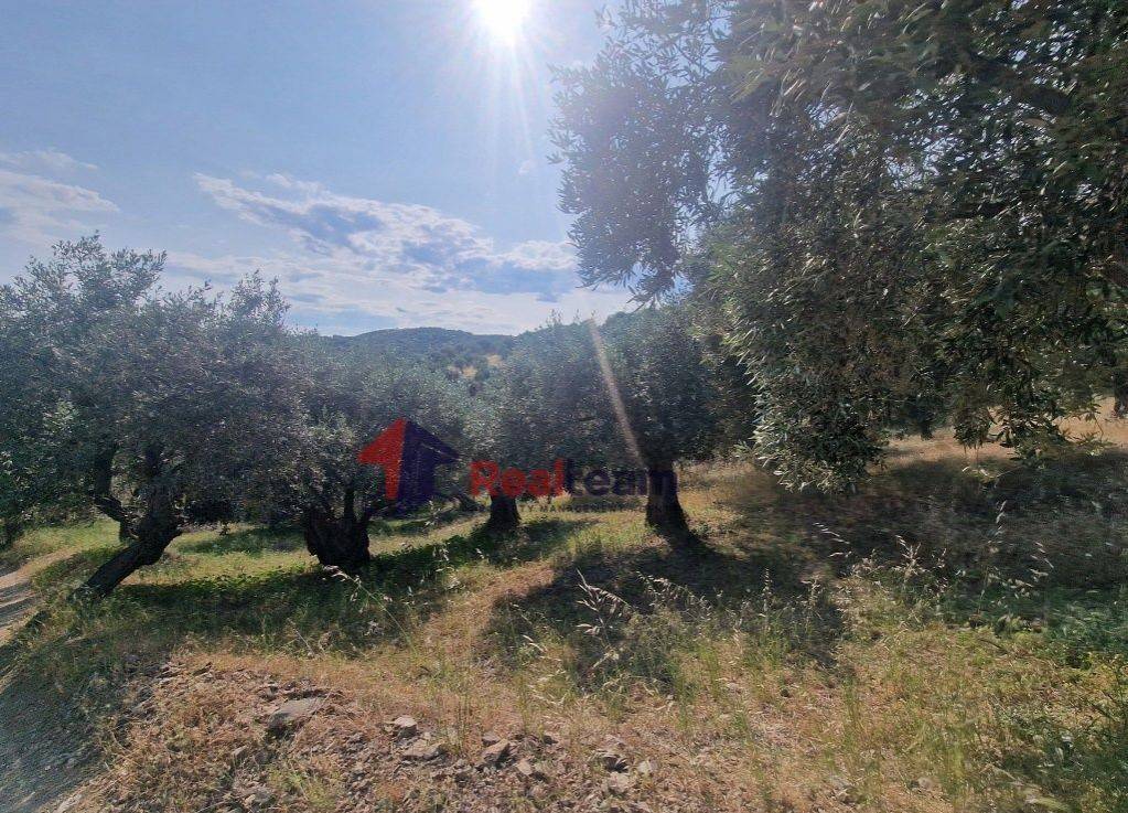 Εξωτερικοι χώροι