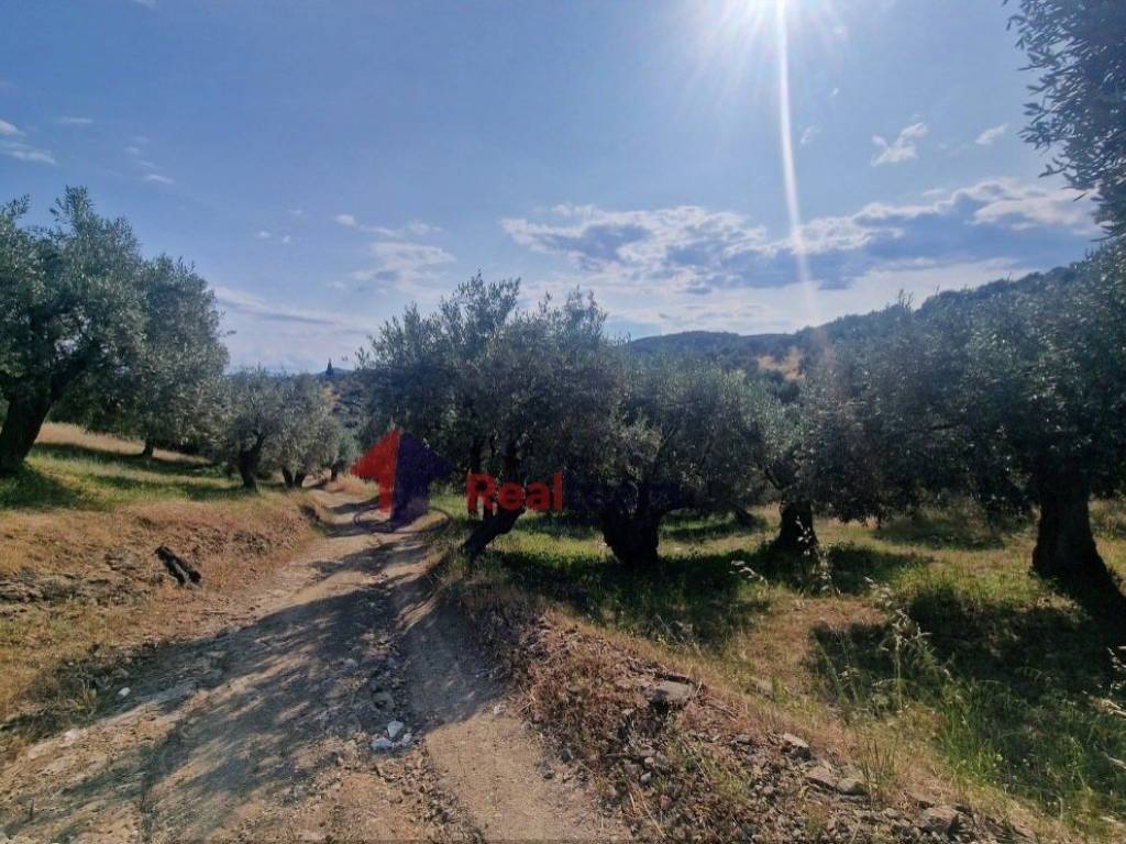 Εξωτερικοι χώροι