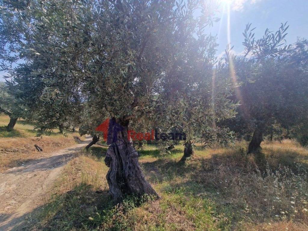 Εξωτερικοι χώροι