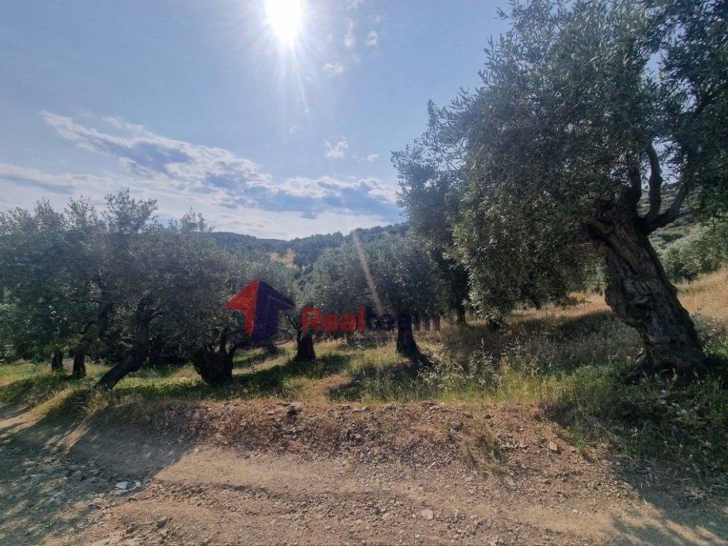 Εξωτερικοι χώροι