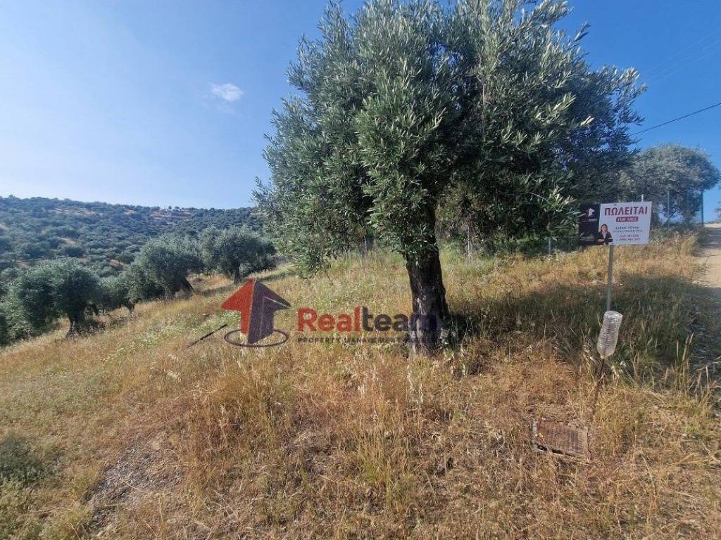 Εξωτερικοι χώροι