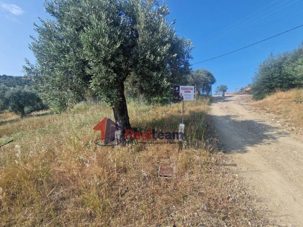 Εξωτερικοι χώροι