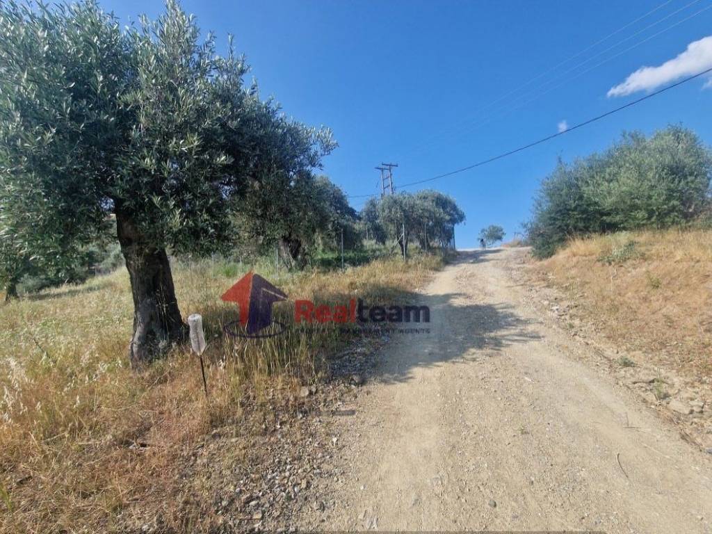 Εξωτερικοι χώροι