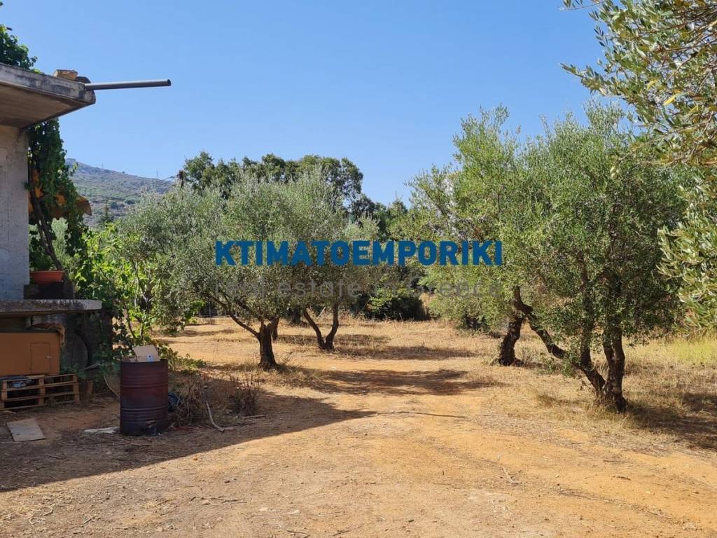 Εξωτερικοι χώροι