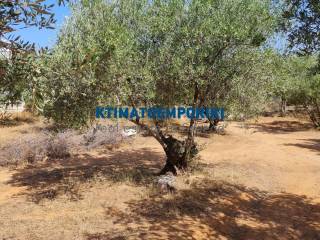 Εξωτερικοι χώροι