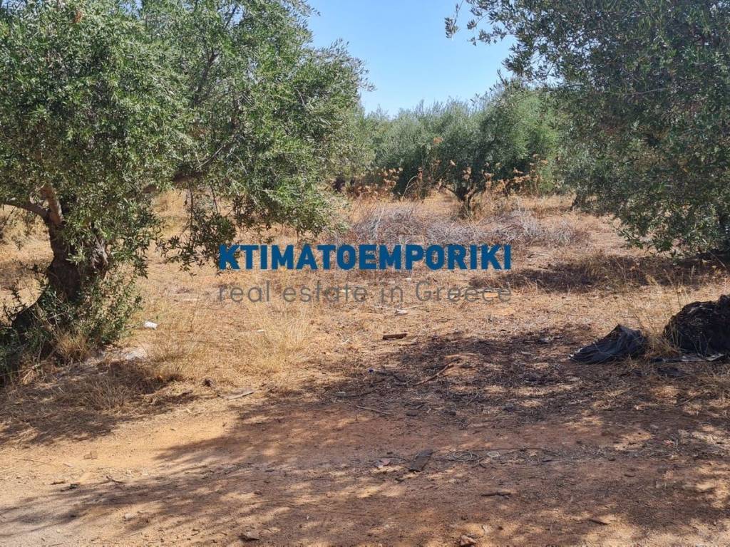 Εξωτερικοι χώροι