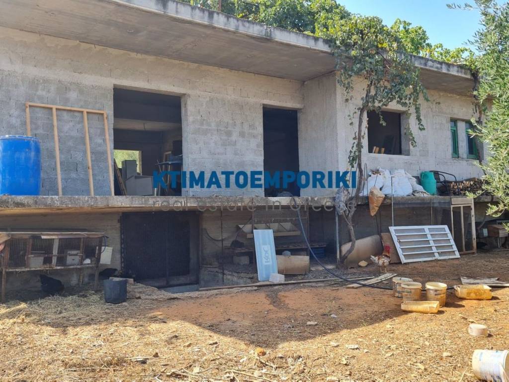 Εξωτερικοι χώροι