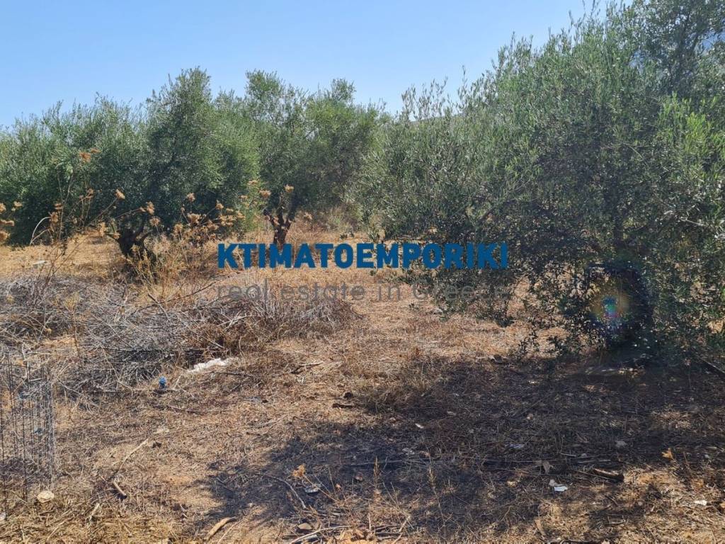 Εξωτερικοι χώροι