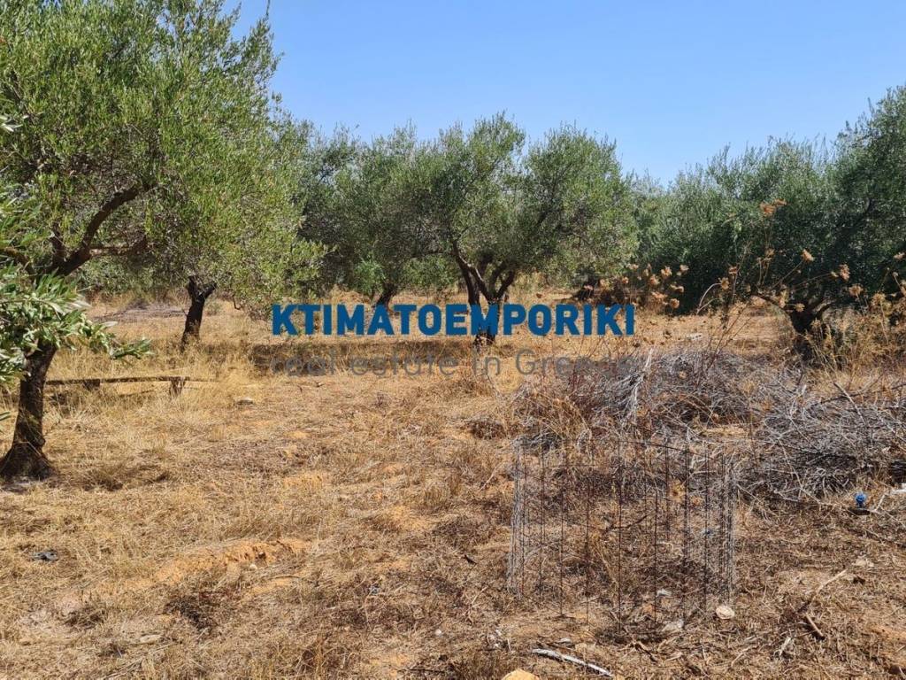 Εξωτερικοι χώροι