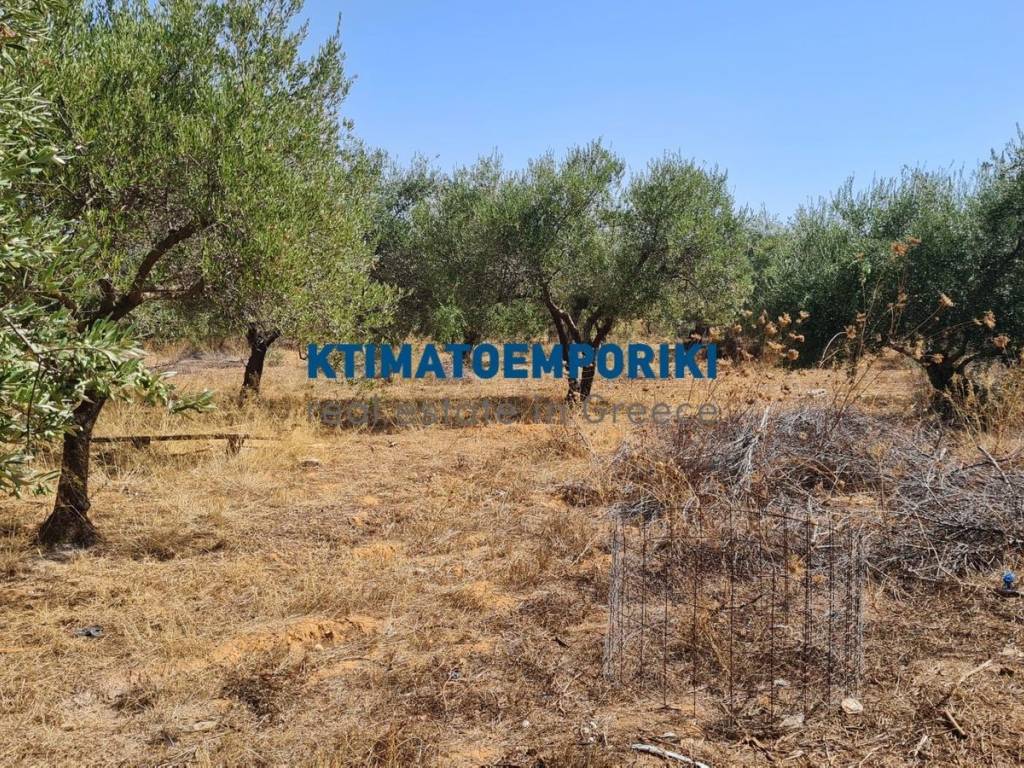 Εξωτερικοι χώροι