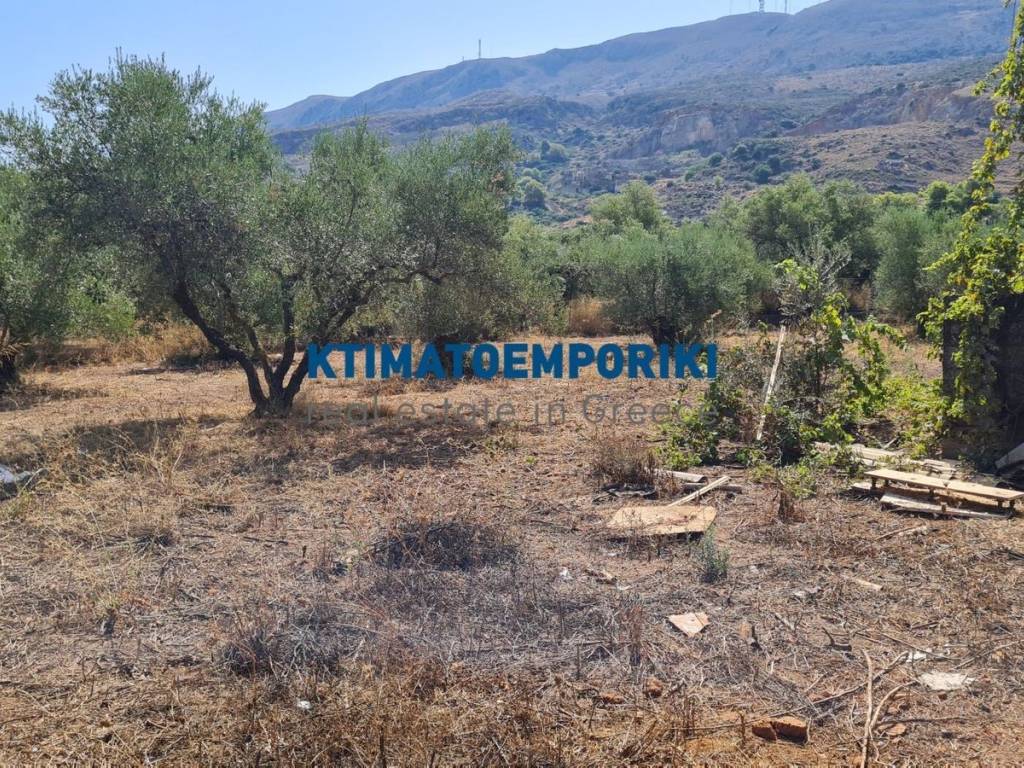 Εξωτερικοι χώροι