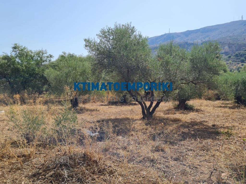 Εξωτερικοι χώροι