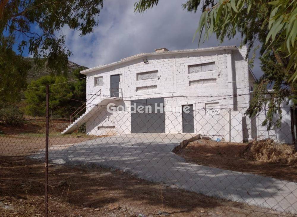 Ανελκυστήρας