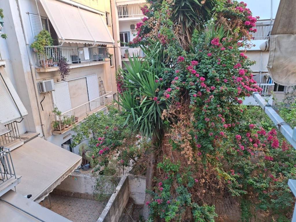 ΚΗΠΟΣ ΜΠΡΟΣΤΑ ΑΠΟ ΤΟ ΜΠΑΛΚΟΝΙ ΜΕ ΜΕΓΑΛΑ ΔΕΝΤΡΑ