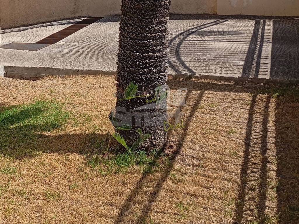 Εξωτερικοι χώροι