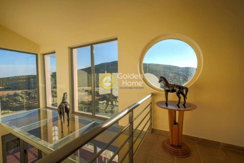 Ανελκυστήρας