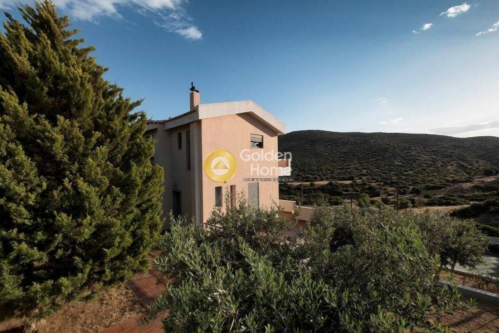 Ανελκυστήρας