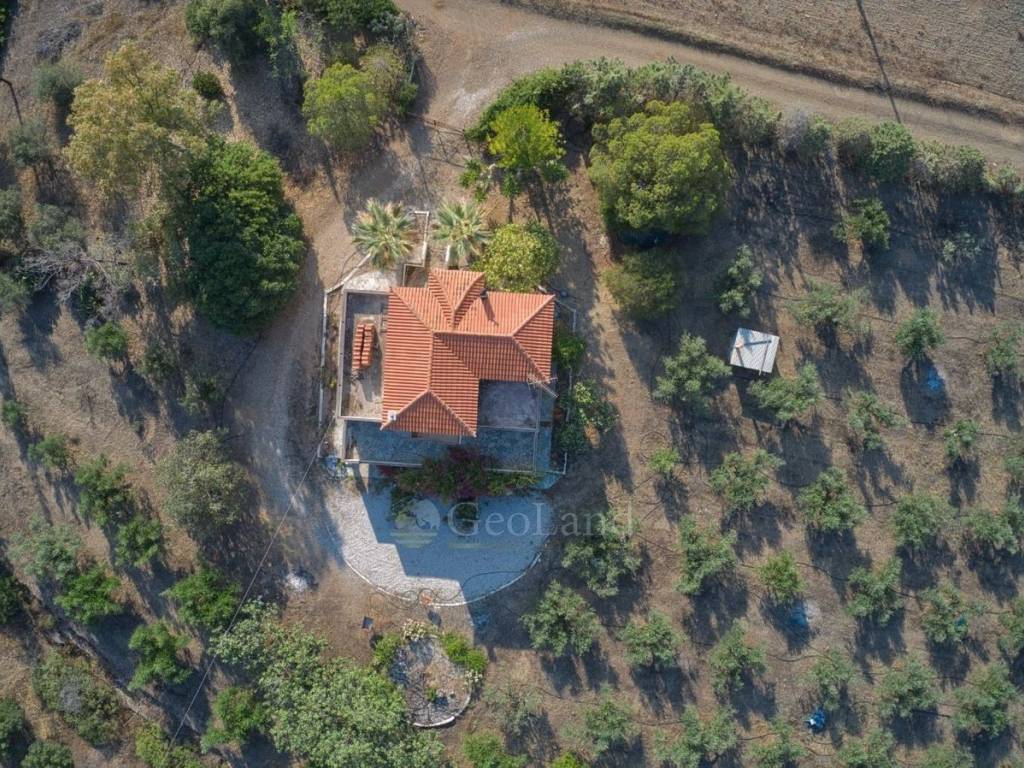 Ύπαρξη ανθρώπου