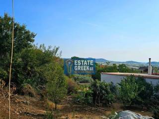 ★ ΘΕΑ ★ Κτίζει 375τμ ★ Με παλαιό κτίσμαΣε ελαιώνα ★