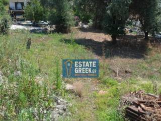 ★ ΘΕΑ ★ Κτίζει 375τμ ★ Με παλαιό κτίσμαΣε ελαιώνα ★