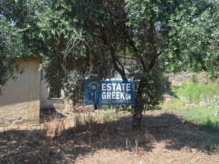 ★ ΘΕΑ ★ Κτίζει 375τμ ★ Με παλαιό κτίσμαΣε ελαιώνα ★