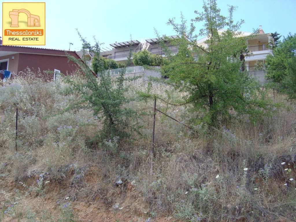 Σουρωτή, Οικόπεδο, 510 τ.μ.