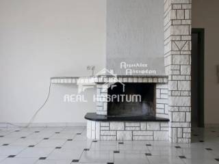 Σαλοκουζίνα