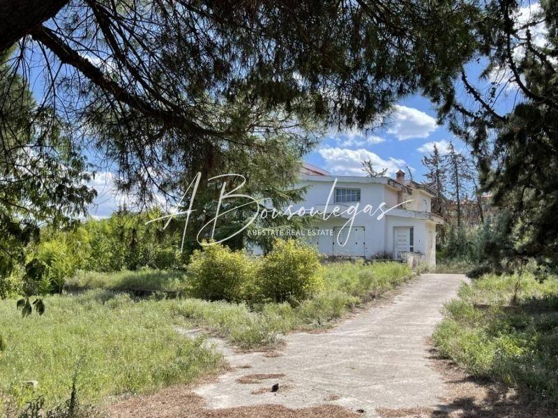 Εξωτερικός χώρος