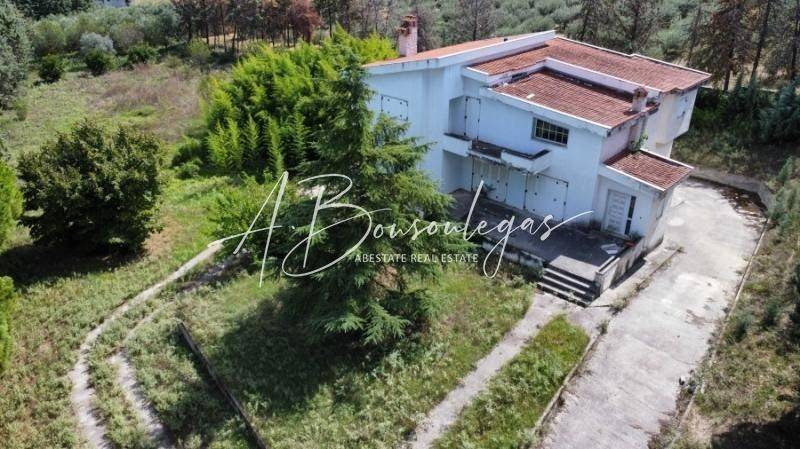 Εξωτερικός χώρος